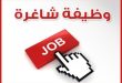 jobs opportunities_999999999987647895647896457896433333